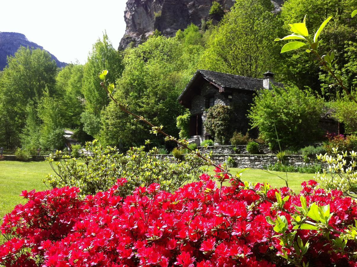 Chalet La Baita Villa Baceno Esterno foto